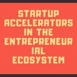 Startup Accelerators 