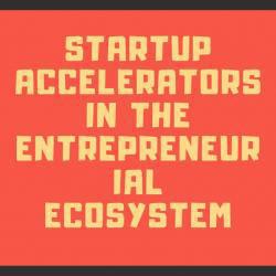 Startup Accelerators