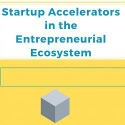 Startup Accelerators